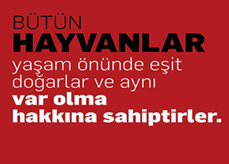 Soydaş Veteriner Kliniği